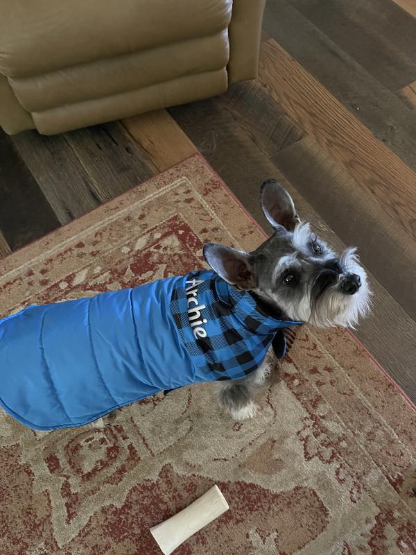 Frisco Boulder BLUE Plaid Insulated Dog & Cat Puffer Coat PICK