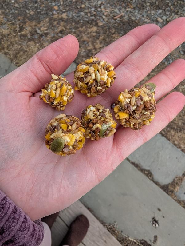 They come in balls. They are pretty hard to break apart so it helps if you break them apart and let them eat some small bits so they stay interested in trying to get them apart.