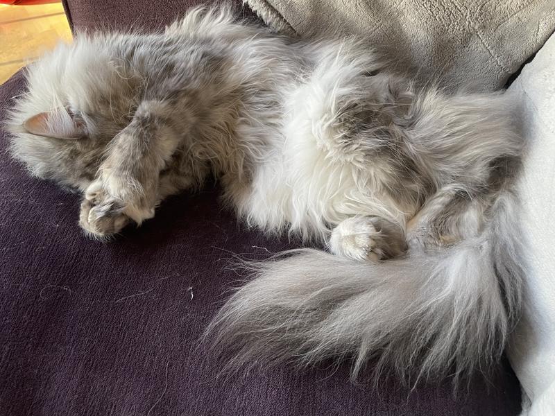 She has the ‘shies’