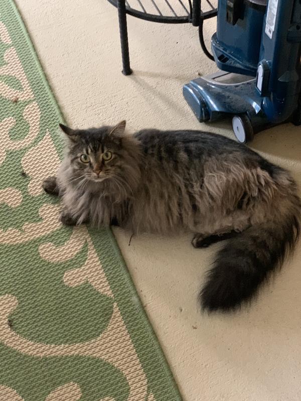 Chillin’. But suspicious