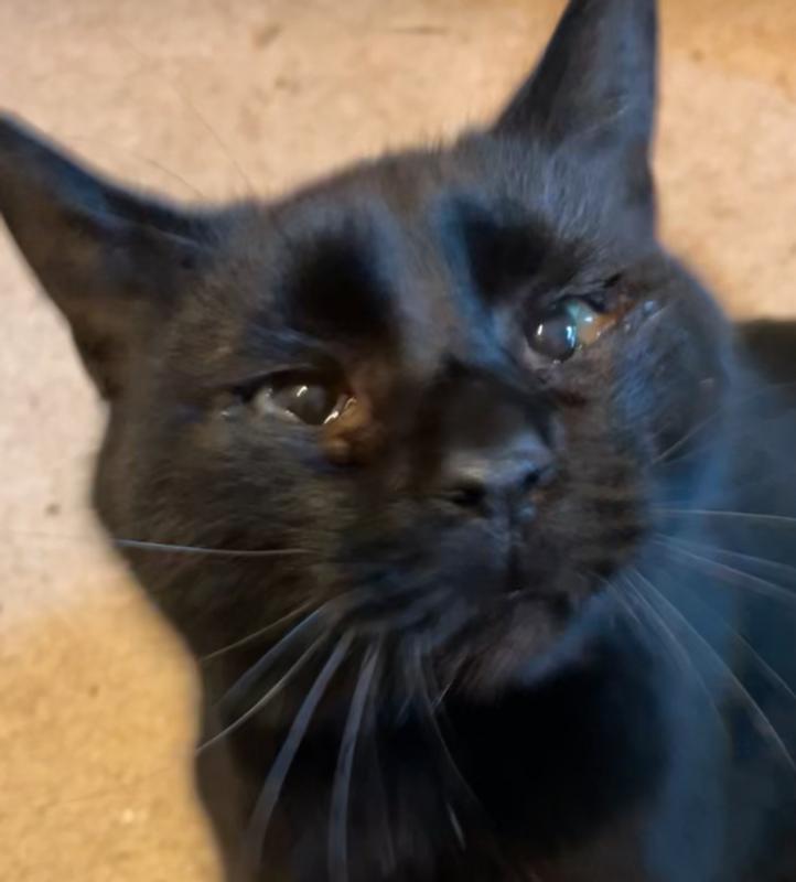 Mr. Hisser pre surgery