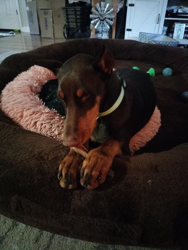 Great chew Mom! Thanks!