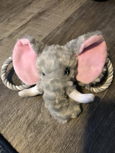 Rope pulls on toy
