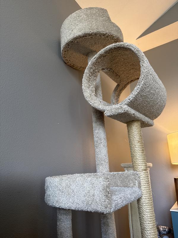 The tunnel window shown backwards