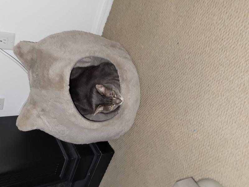 BEST FRIENDS BY SHERI Meow Hut Covered Cat & Dog Bed, Grey, Standard