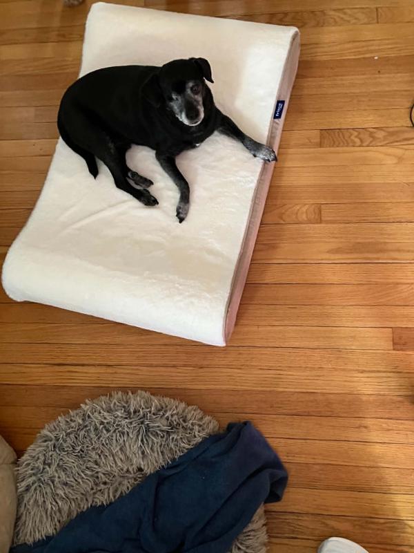old dog (25 lb) loves this bed. he sleeps better there than anywhere else