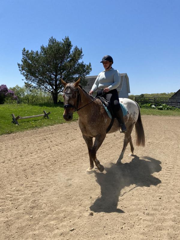 My mare leg yielding easily since Actiflex helped with joint discomfort and stiffness.