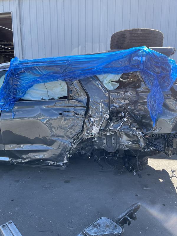 This is why you crate your animals.