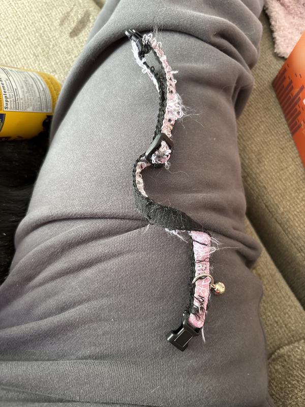 Didn’t last a week