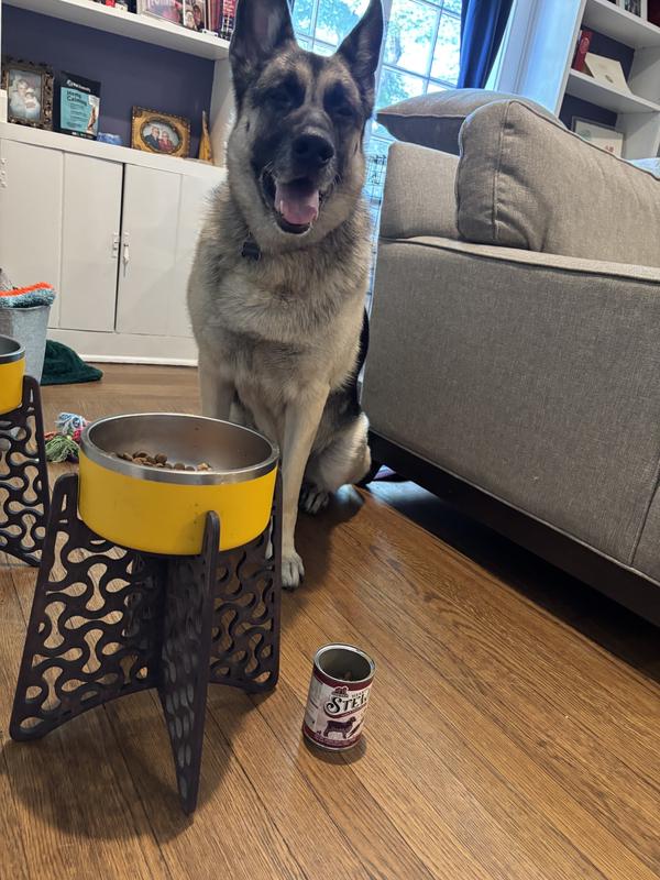 Conway loves his Redbarn Lamb & Carrot Hearty Stew!