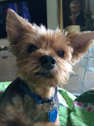 I am 13 years old and the Blue products keep me feeling great.