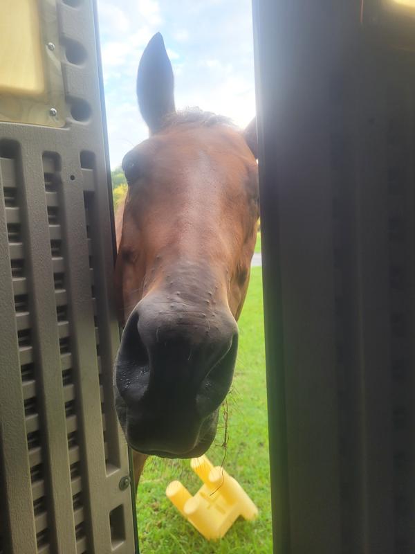 Waiting for her new yummy feed