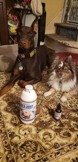 Nutella & Truffles waiting for their portion