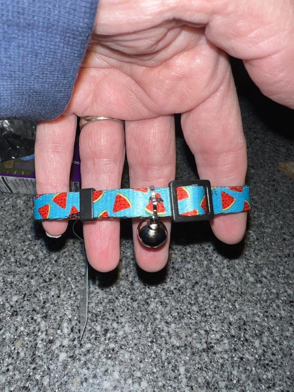 Such a cute collar. No pics of her in it because she took off and hid