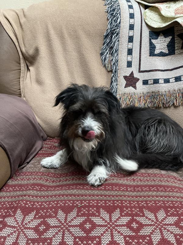 Absolutely Delicious!!!