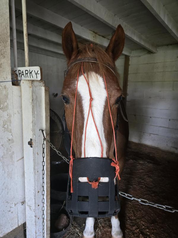 I've rigged mine some but overall, I like the muzzle more than most currently on the market (and trust me, I've tried them ALL).