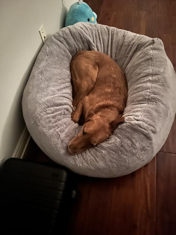 FURHAVEN Plush Ball Pillow Dog Bed w/Removable Cover, Shell, Large