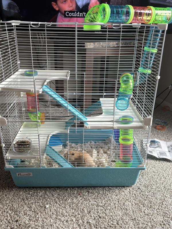 Humphrey checking out his new home.