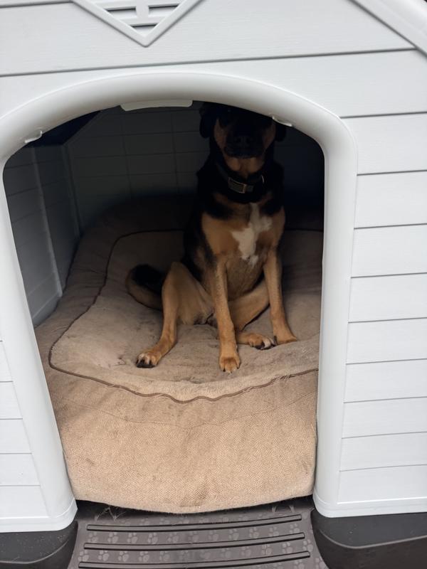 This dog alone is 100 pounds and there’s still plenty of room in there for the second dog