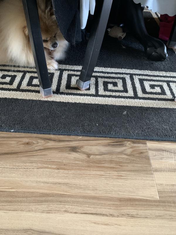 Safely under the table to enjoy my treat!