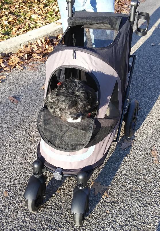 uppababy bassinet with stand UPPAbaby