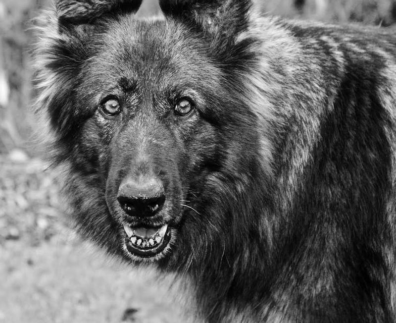 She feels so special!