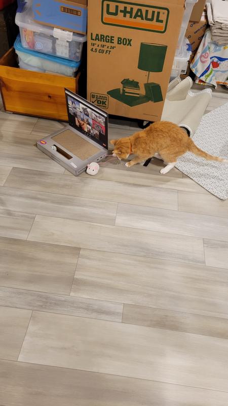 The string allows it to be pulled along.