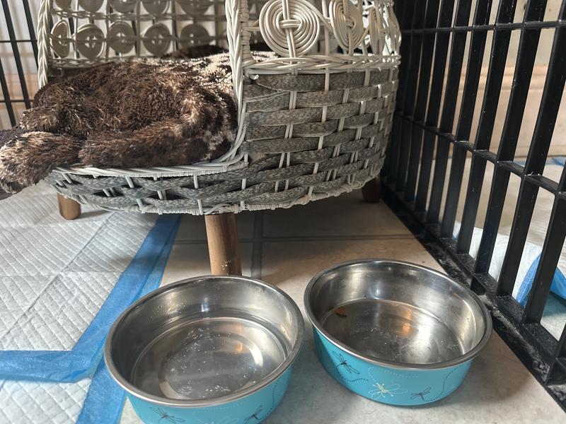 Cute and functional bowls