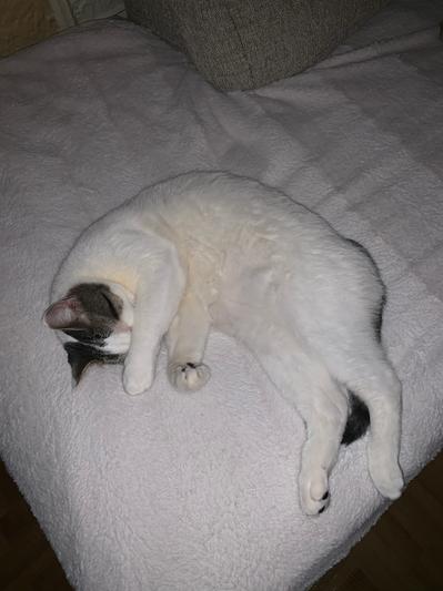 Turn off the light!