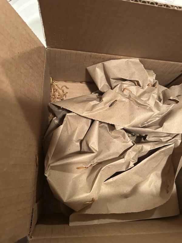 How the box was when we opened it.