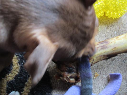 Angel checking it out