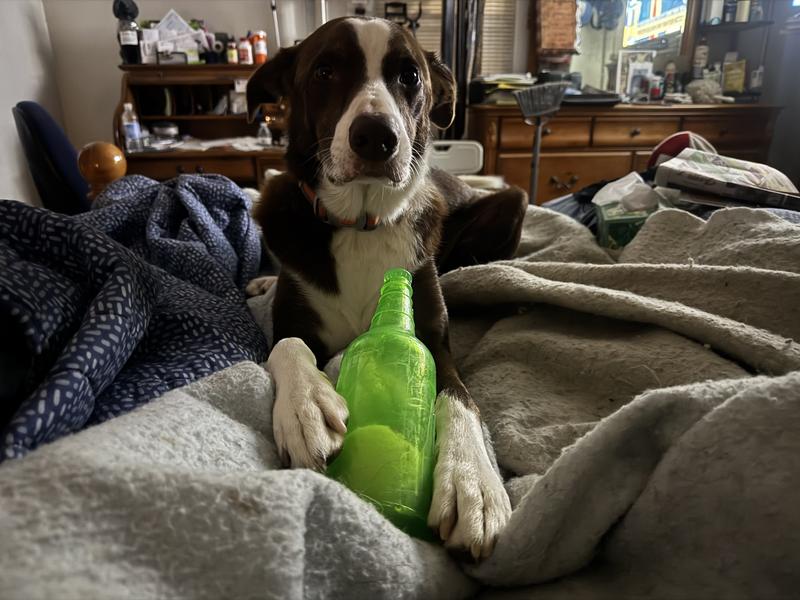 I might need to take Duke to AA!!!!