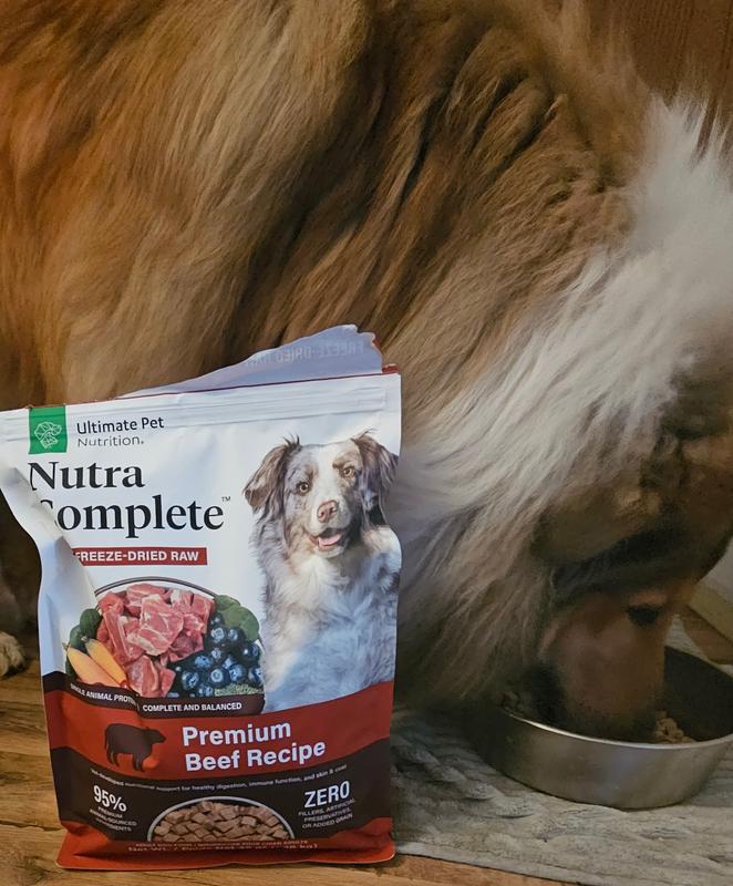 ava sensitive skin and stomach wet dog food add wishlist