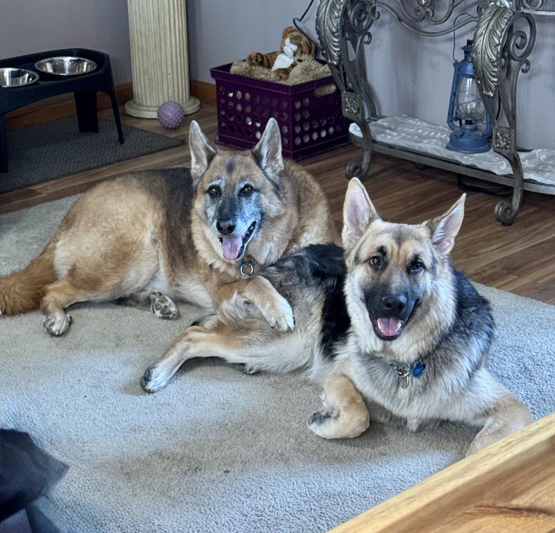 Waiting for a Good N Fun Treat!