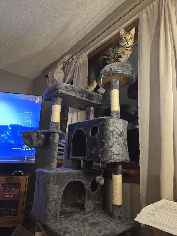 The King of his Castle