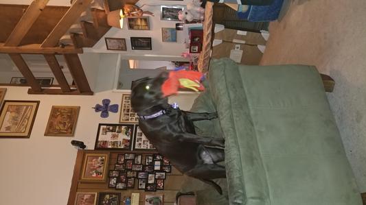 Always has her dragon