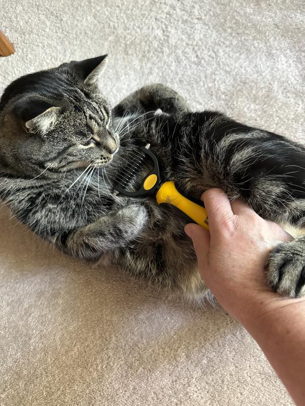 PET REPUBLIQUE Dematting Rake