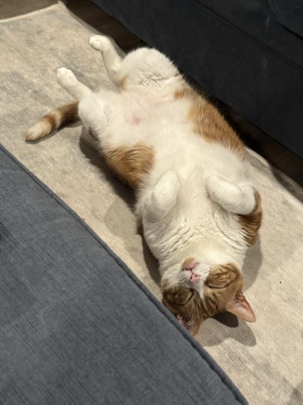 Lewis after getting cleaned up