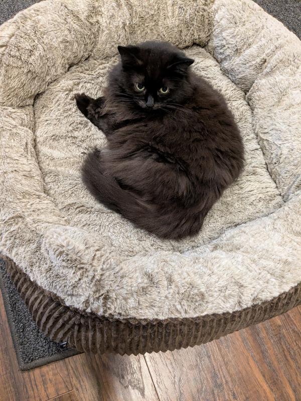 So cozy!