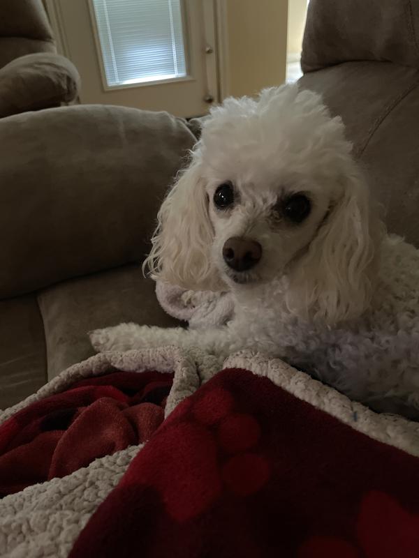 Looking forward to my treats!!
