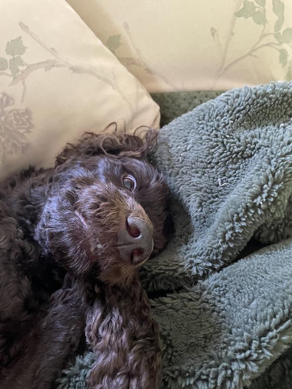 The best for my baby!