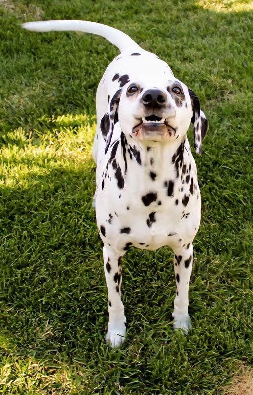 Loved her smiles ❣️