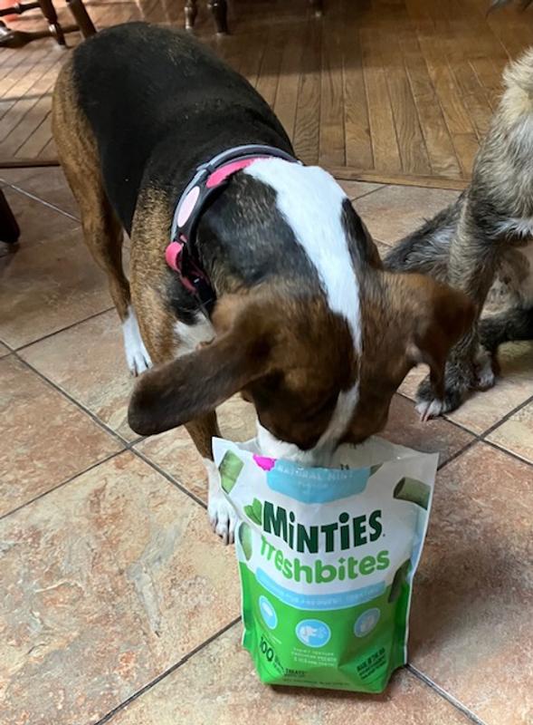 Bella thinks they're great!