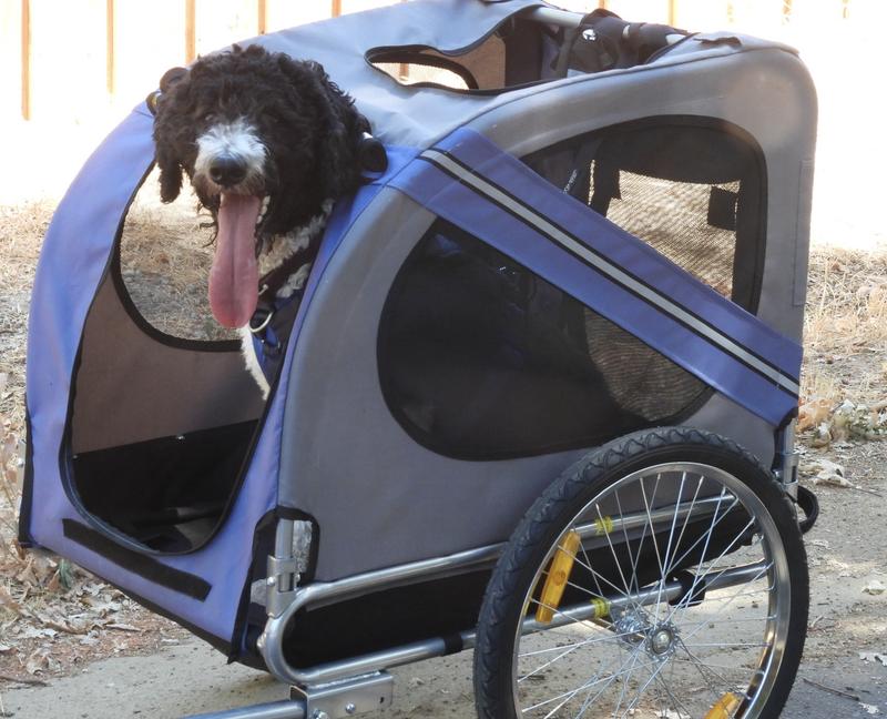Mitzy in her trailer