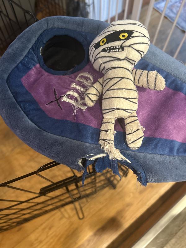 Make sure you watch your small puppy play with this my Yorkie got this head stuck inside the coffin toy