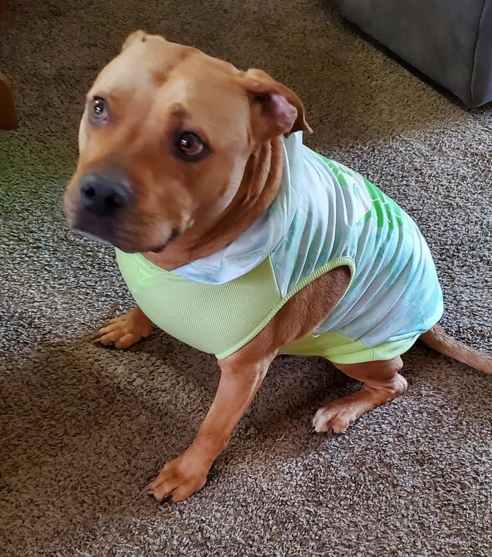 Arlo modeling