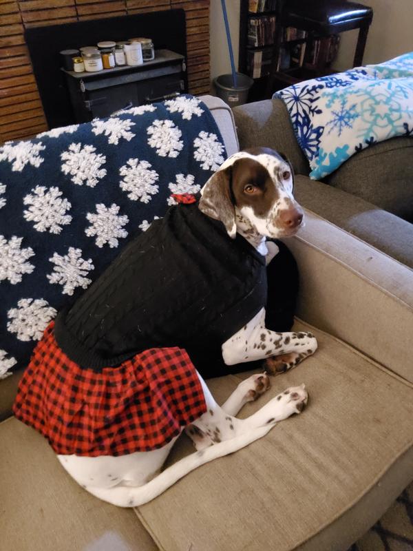 Lily loves her dress!