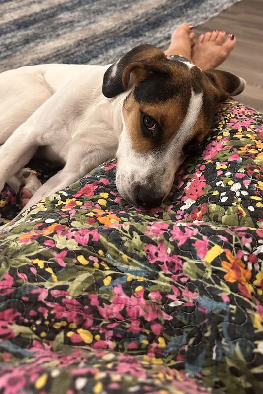 Olive Rooney/ our new baby