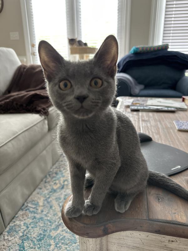 This Little Boy Loves It!