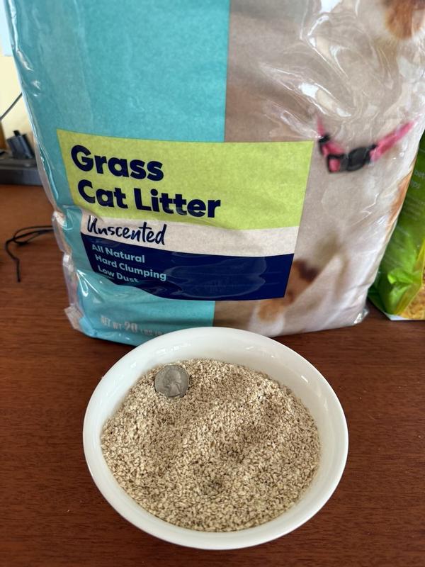 FRISCO Natural Unscented Clumping Grass Cat Litter 20 lb bag Chewy